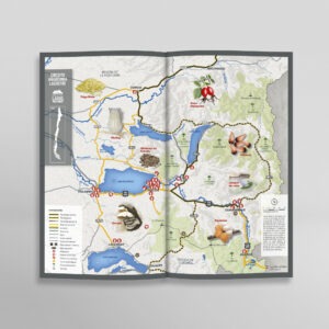 Mapa de la guia gastronomica con rutas y ilustraciones de alimentos